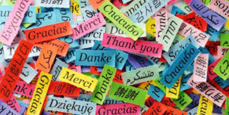 Language Courses